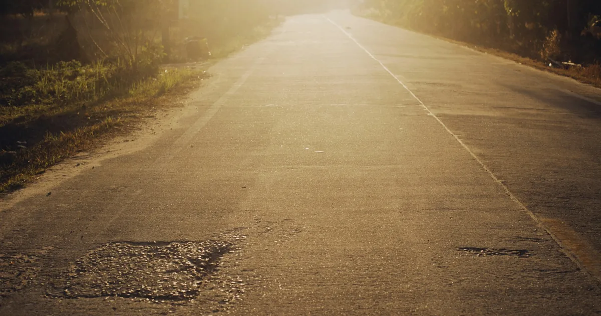 A person pressing the back of their hand flat on sunlit asphalt to test its heat before walking a dog